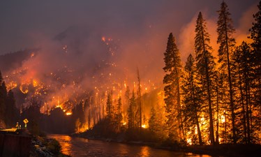 Washington Business Leaders Discuss the Future of Carbon Policy