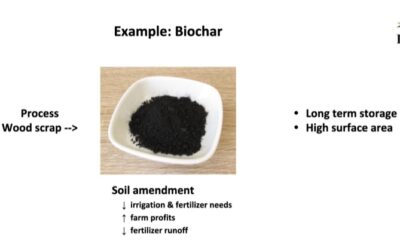 BioSequestration Policy Pathways