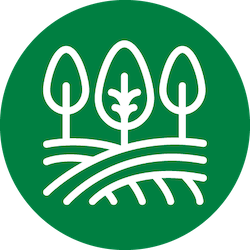  width=250